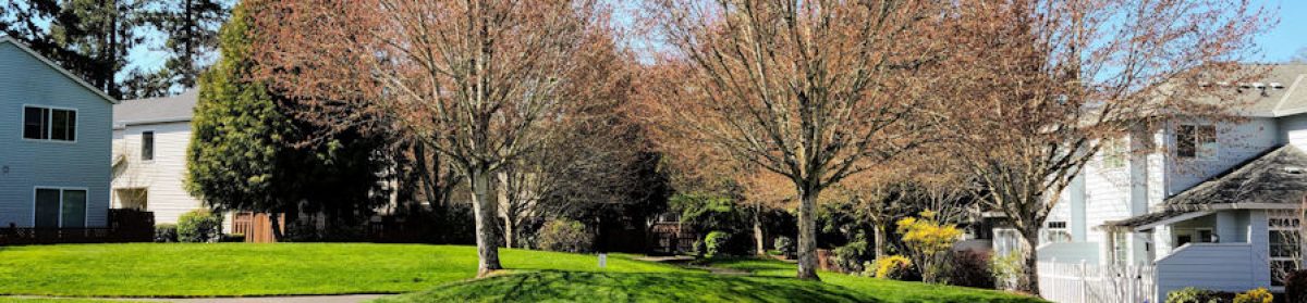 Robin Meadows HOA