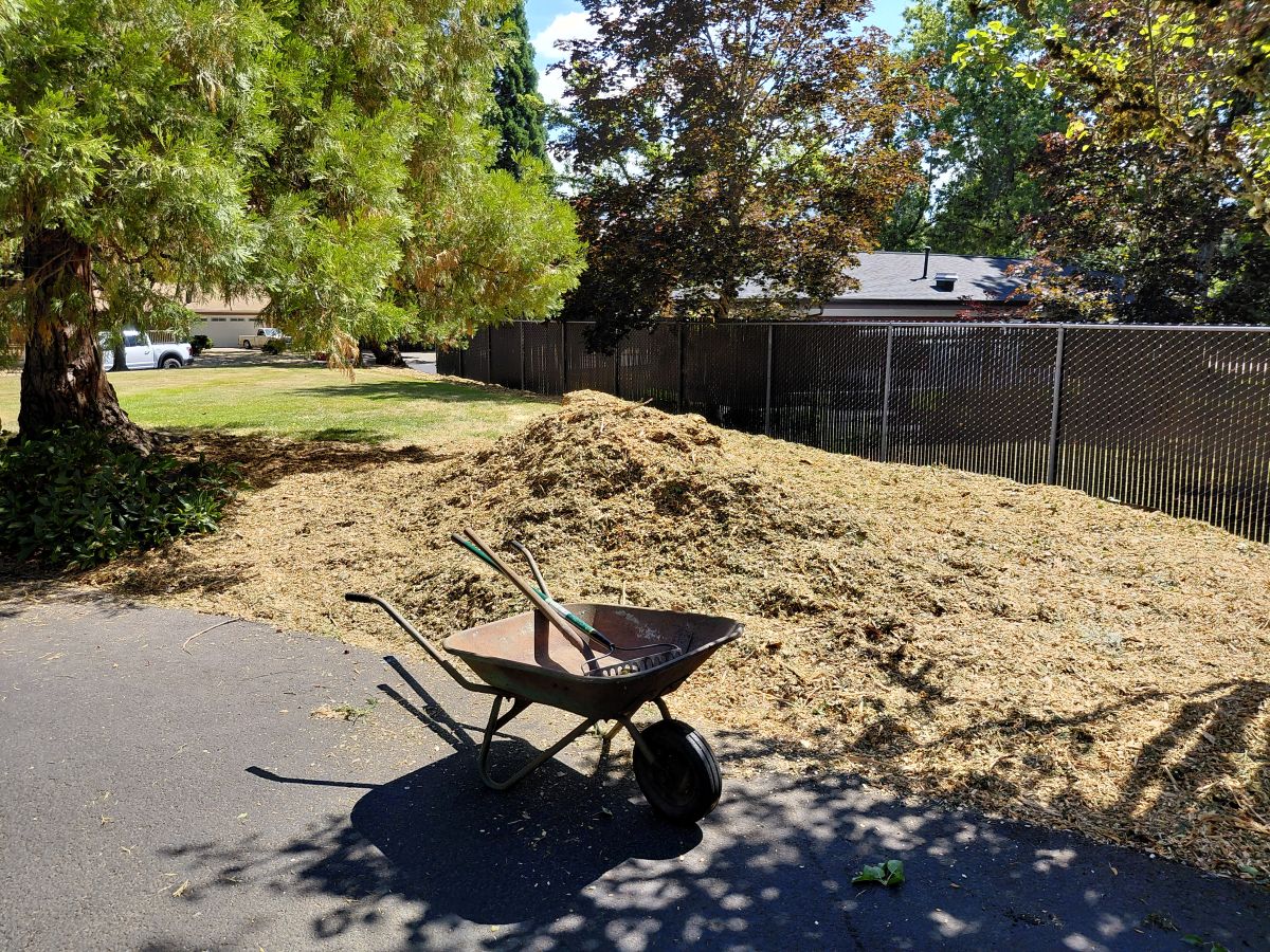 Wood chip project – Help needed! – 8/2/2025