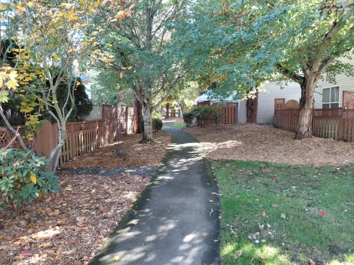 Long-Term Funding for Robin Meadows