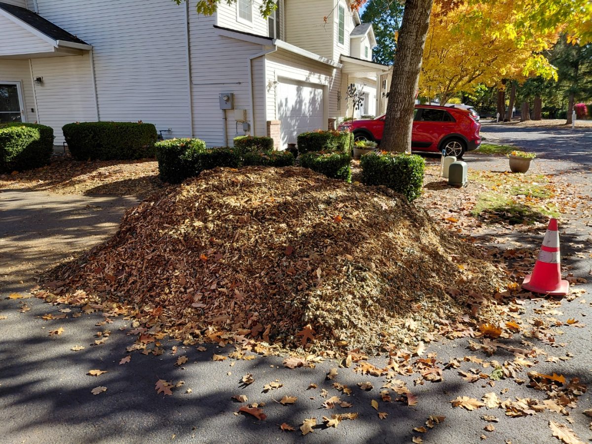 Wood chip project has been completed