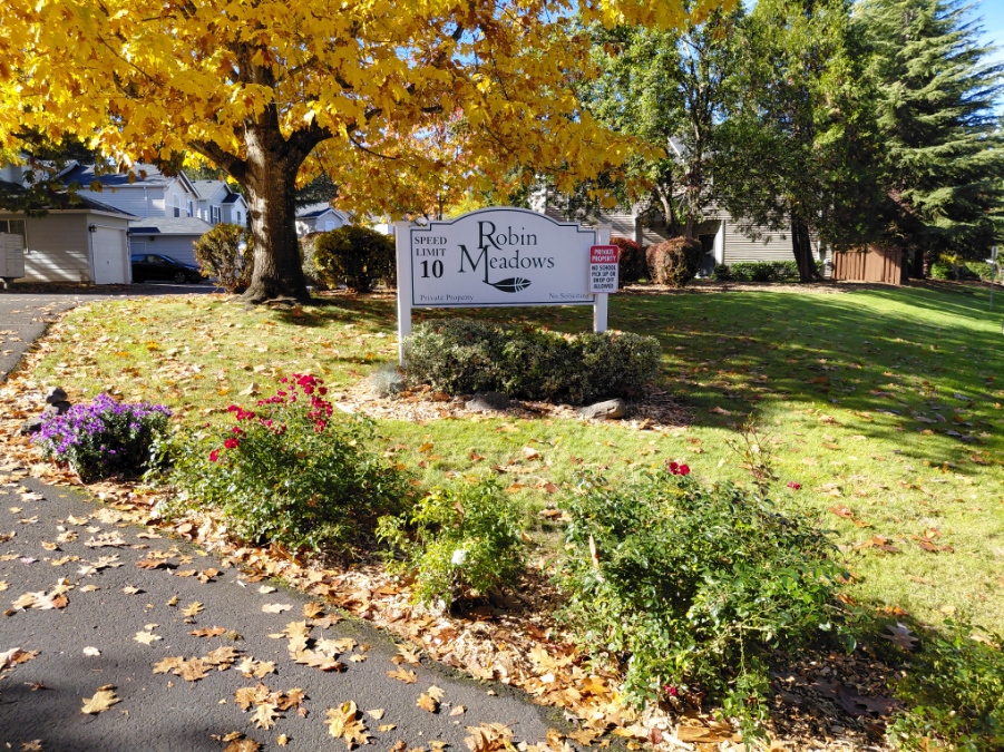 We Need Your Input: Planning for Robin Meadows’ Financial Future