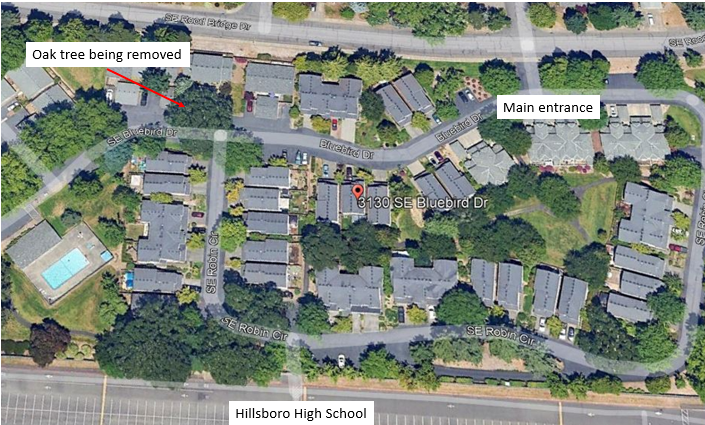 Map of where oak tree is being removed.